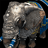 war-elephant