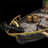 fast-fire-ship